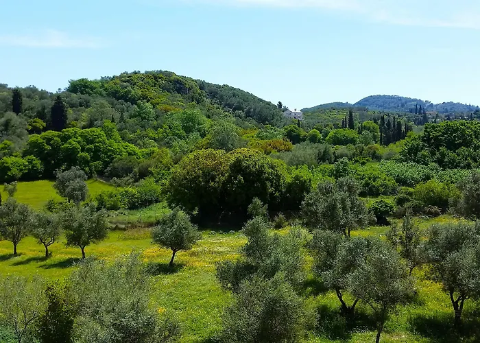 Kapella