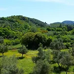 Kapella