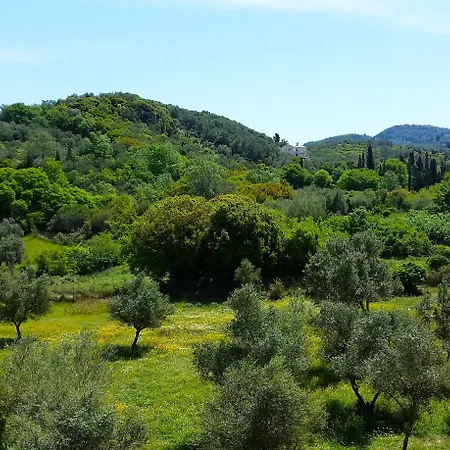 Kapella